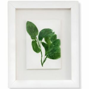 Sage by Nicola Weldon - Delicate Irish art with sage leaves