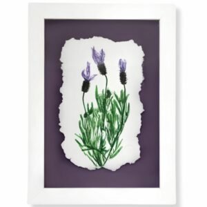 Lavender by Nicola Weldon - Delicate Irish artist depiction of lavender sprigs