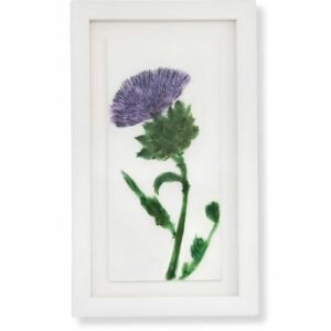 Artichoke Flower by Nicola Weldon - Detailed Irish art with an artichoke flower