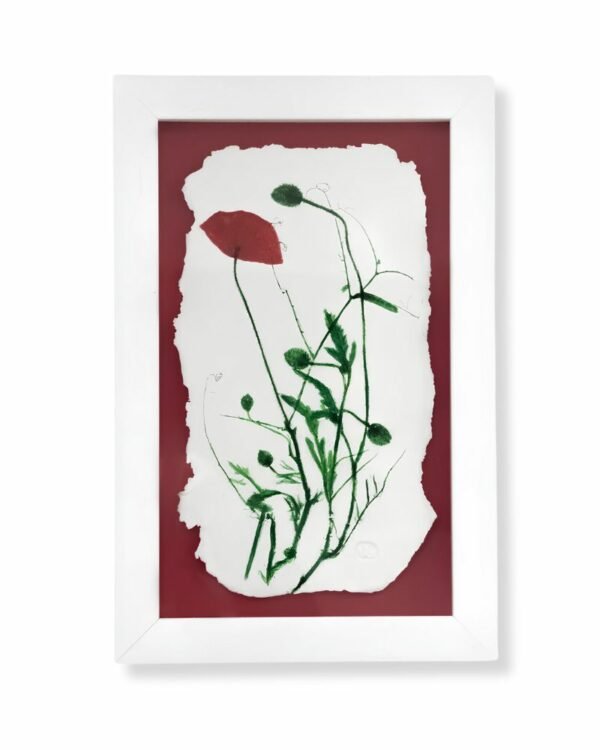 Red Poppy by Nicola Weldon - Vibrant Irish fine art with a red poppy flower