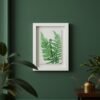 A framed Large Colourful Meadow Mix fine art print hangs on a dark green wall, while a plant and brass watering can sit on a wooden shelf nearby, enhancing the room’s botanical decor.