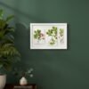 The Large Colourful Meadow Mix – Fine Art Print, featuring three panels of vibrant pink flowers and green leaves, hangs on a dark green wall above a wooden cabinet decorated with a potted plant, books, and a tall leafy plant to the left.
