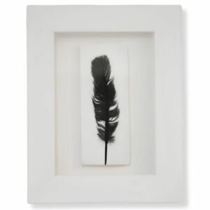 Feather (Black) by Nicola Weldon - Delicate Irish art with a black feather