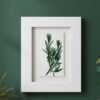 Rosemary – Original Ceramic Wall Art features a botanical design of green leaves on white ceramic, set in a wide white frame against a dark green wall. Inspired by Irish art, it adds modern elegance with partially visible leaves in the corners.