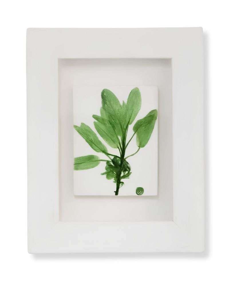 Sage (Small) by Nicola Weldon - Delicate Irish art with sage leaves