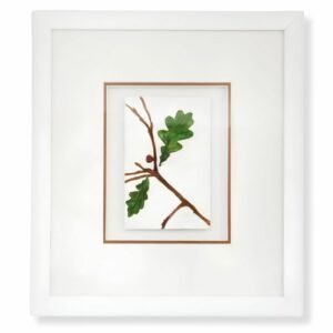 Oak Leaf on Branch by Nicola Weldon - Detailed Irish artist depiction of an oak leaf on a branch