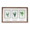 3 Herbs (Thyme, Rosemary, Sage) by Nicola Weldon - Fine art print with thyme, rosemary, and sage