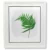 Large Fern Leaf with Ragged Edge by Nicola Weldon - Detailed fine art print with fern leaf design