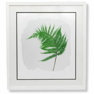 Large Fern Leaf with Ragged Edge by Nicola Weldon - Detailed fine art print with fern leaf design