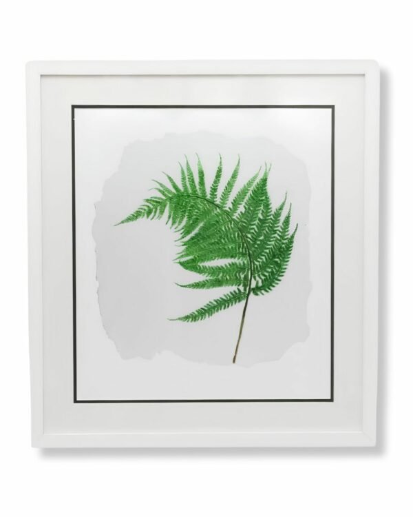 Large Fern Leaf with Ragged Edge by Nicola Weldon - Detailed fine art print with fern leaf design