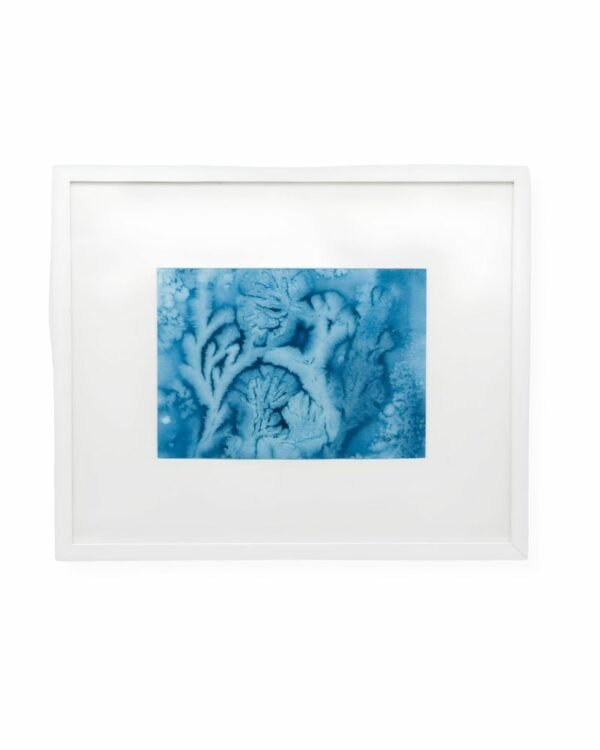 Turquoise Ink Seaweed Mix by Nicola Weldon - Fine art print with intricate seaweed designs