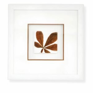 Single Sycamore Leaf by Nicola Weldon - Delicate Irish art with a sycamore leaf