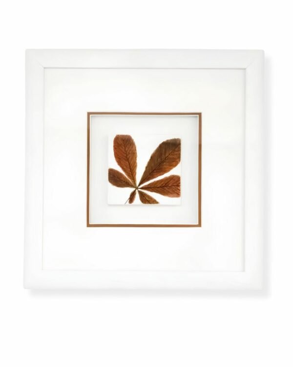 Single Sycamore Leaf by Nicola Weldon - Delicate Irish art with a sycamore leaf