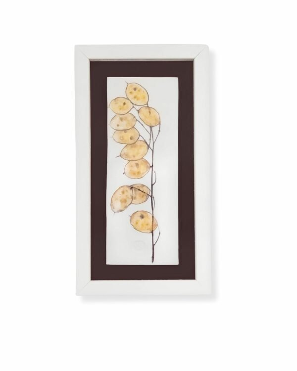 Honesty by Nicola Weldon - Fine art print with delicate honesty plant leaves