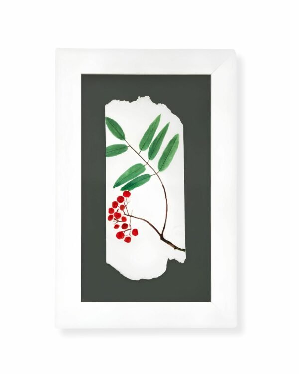 Rowan by Nicola Weldon - Delicate Irish art with rowan branches and berries