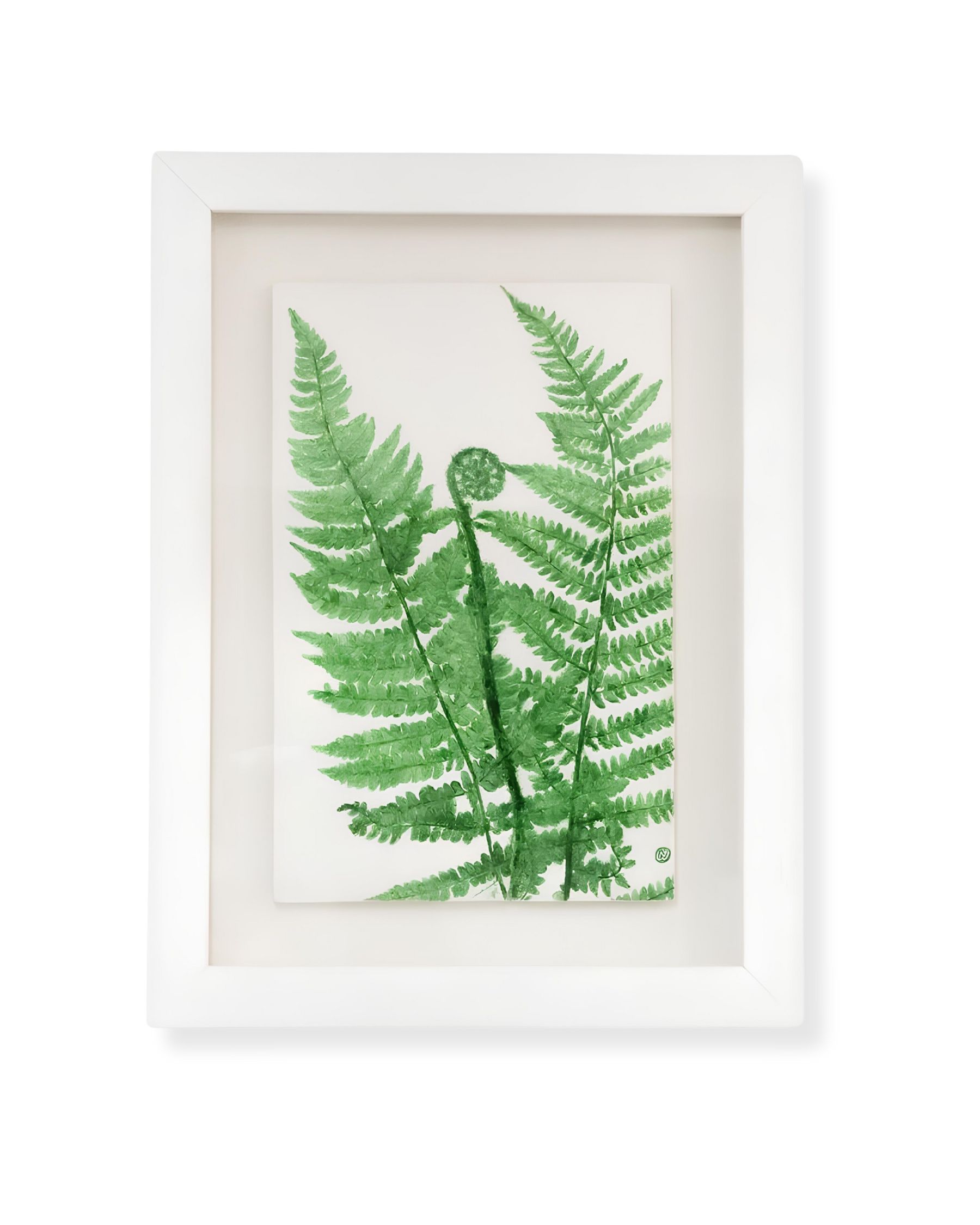 Unfurling Fern by Nicola Weldon - Delicate Irish art with an unfurling fern