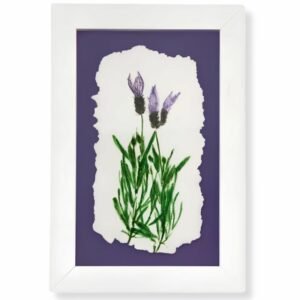 Lavender by Nicola Weldon - Delicate Irish art with lavender sprigs