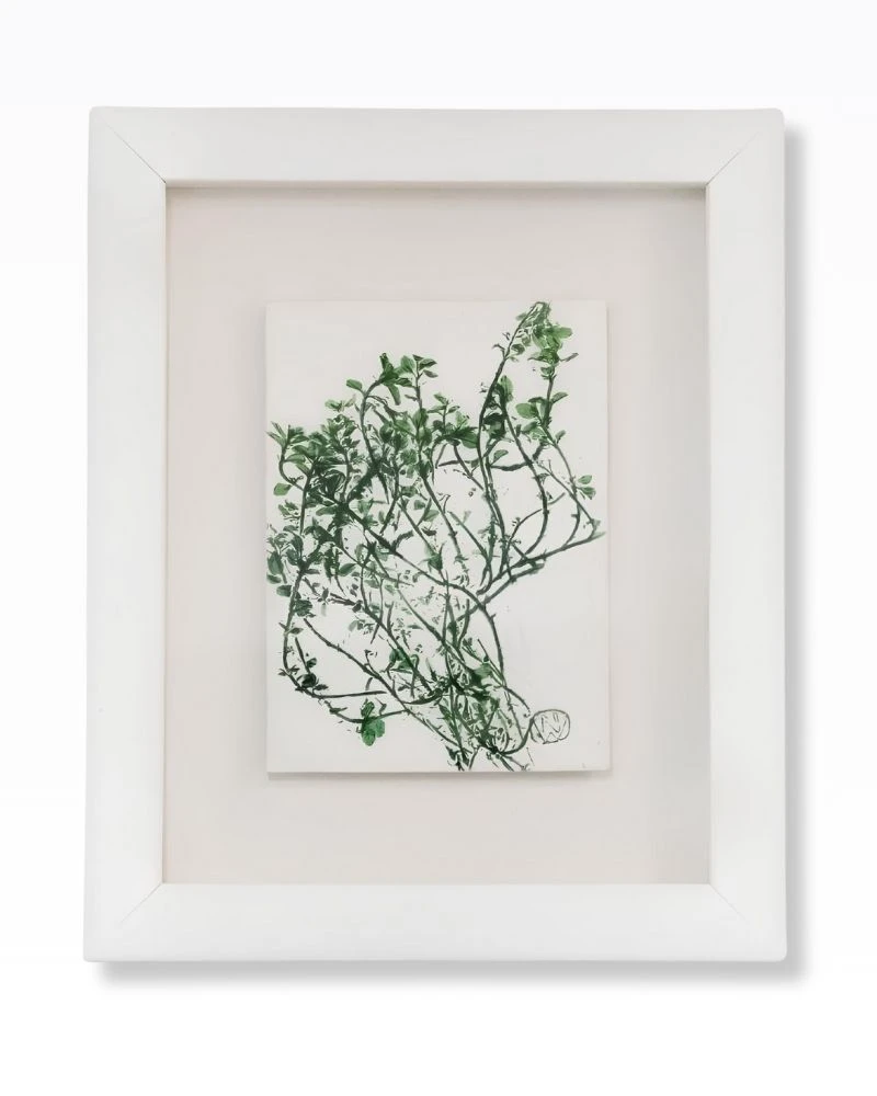 Thyme by Nicola Weldon - Delicate Irish art with thyme