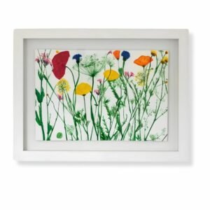 Wild Colourful Poppy Mix by Nicola Weldon - Vibrant Irish art with colorful poppies