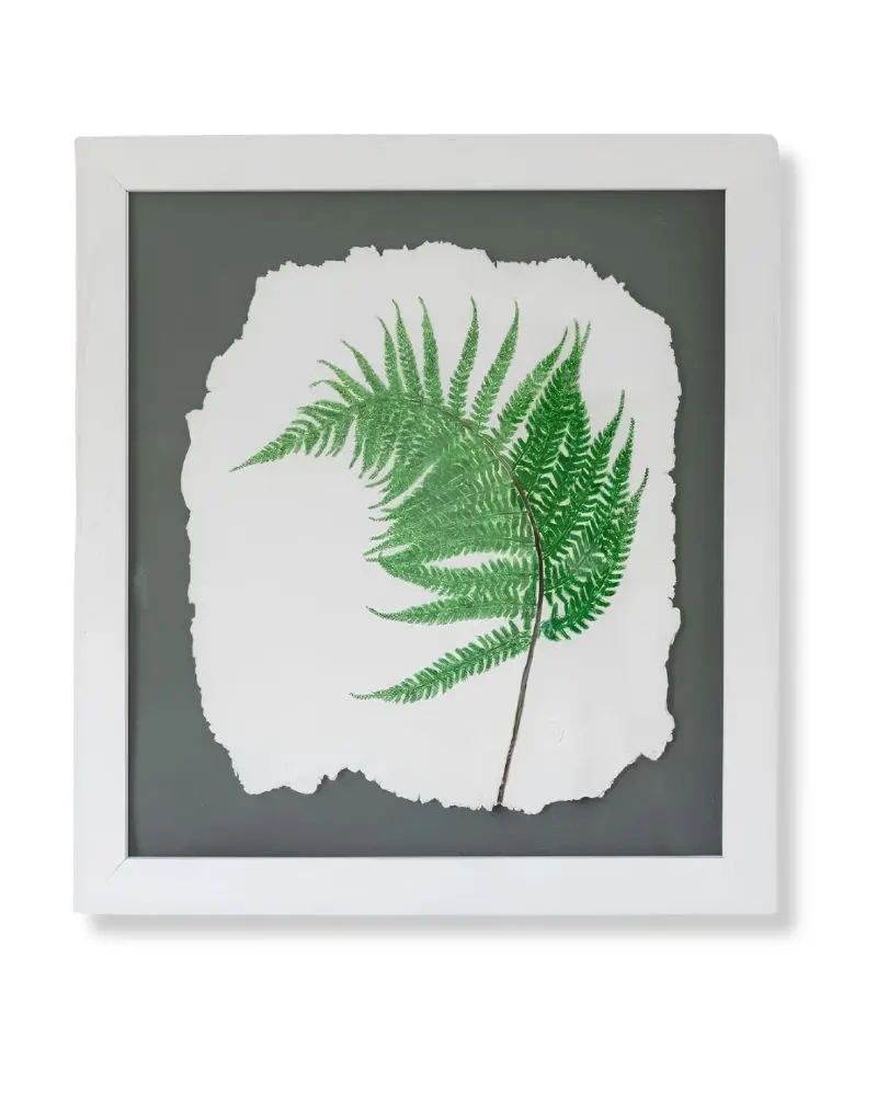 Fern Ragged Edge by Nicola Weldon - Detailed fine art print with a ragged edge fern leaf