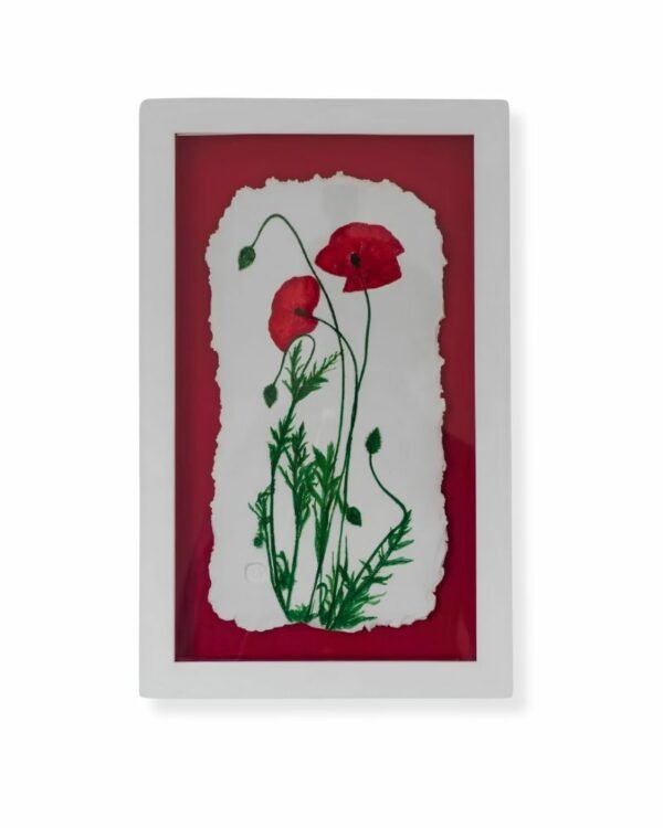 Red Poppy by Nicola Weldon - Vibrant Irish art with a red poppy flower