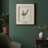 A framed Tall Wild Meadow Mix botanical illustration, inspired by Irish art, hangs on a dark green wall above a wooden table with a vase and plant. An armchair and potted plant create a cozy, stylish room.