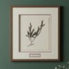 A framed botanical print titled "Tall Wild Meadow Mix" features preserved plant specimens with dark leaves, displayed against a green wall. This Irish artwork includes a wood frame, white mat and label, with eucalyptus in the bottom right corner.