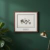 The Tall Wild Meadow Mix framed botanical print, inspired by Irish art, hangs on a dark green wall above a wooden desk adorned with books, a brass lamp, and a green potted plant.