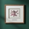 A framed botanical print titled "Tall Wild Meadow Mix," inspired by Irish art, is displayed on a green wall. The artwork sits in a white mat and wooden frame, with its name labeled beneath the image.