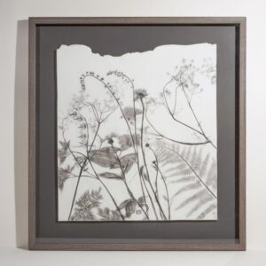 Wild Hedgerow Gatherings in Charcoal