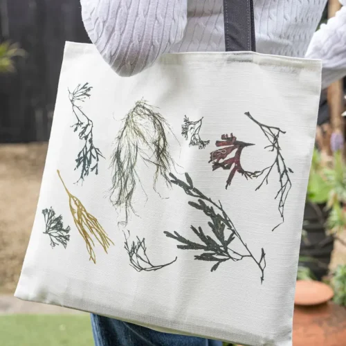 Assorted Seaweed Cotton / Linen Tote Bag by Nicola Weldon - Coastal tote bag with assorted seaweed patterns