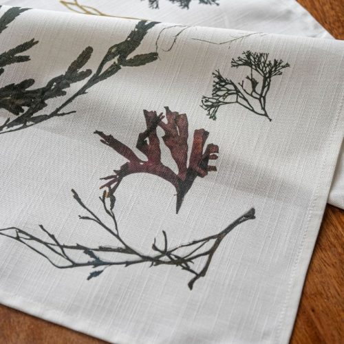 Assorted Seaweeds Tea Towel by Nicola Weldon - Coastal tea towel with seaweed patterns