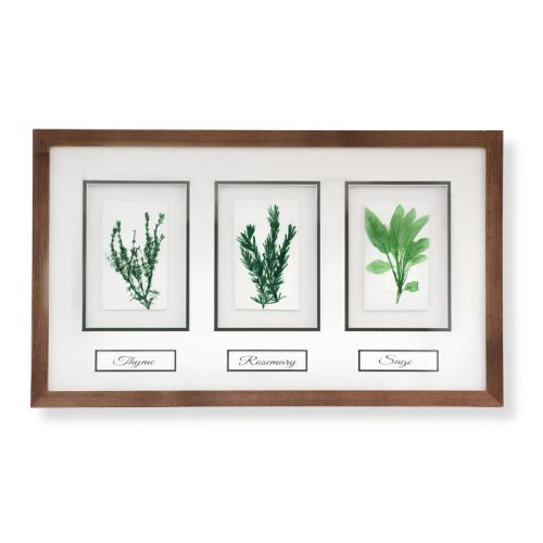 3 Herbs (Thyme, Rosemary, Sage) by Nicola Weldon - Fine art print with thyme, rosemary, and sage