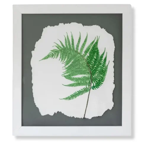 Fern Ragged Edge by Nicola Weldon - Detailed fine art print with a ragged edge fern leaf